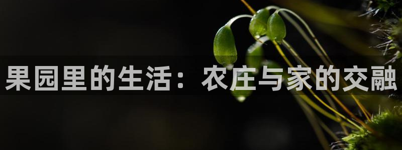 天辰娱乐登录测试