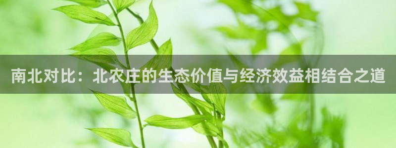 天辰娱乐娱乐