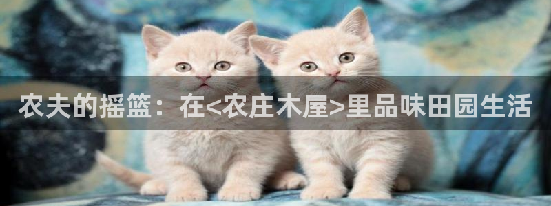 天辰娱乐老板