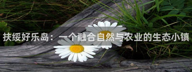 北京天辰娱乐