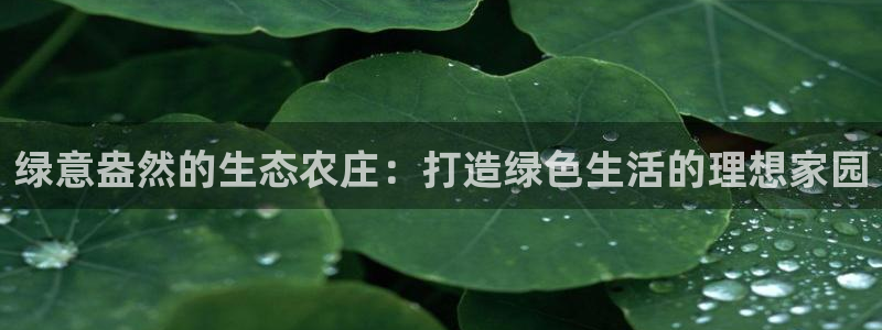 天辰宝宝娱乐