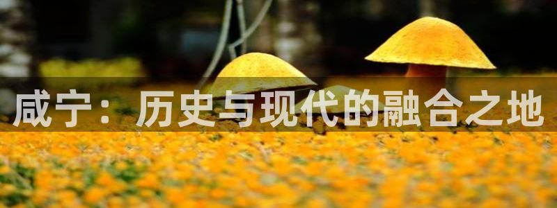 天辰说娱乐