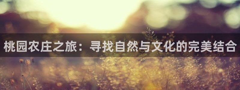 天辰彩票娱乐