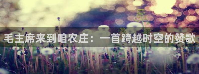 深圳天辰娱乐
