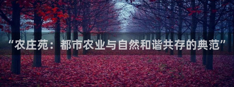 天辰娱乐61116