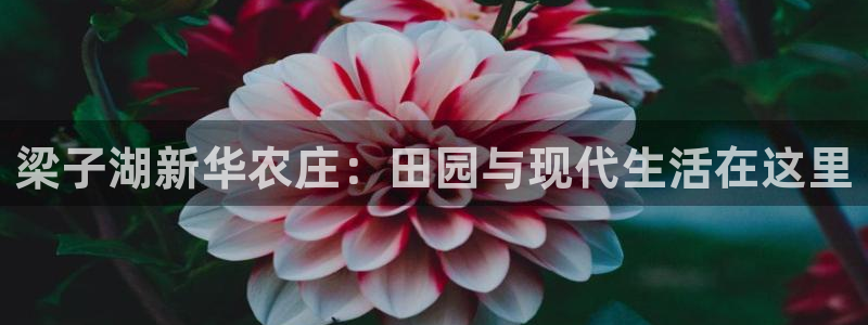 天辰娱乐指尖所