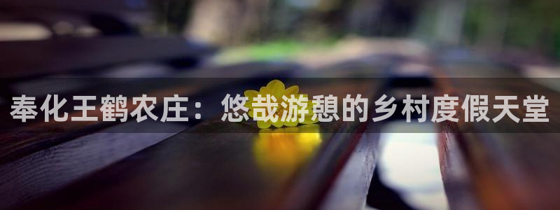 天辰娱乐官方