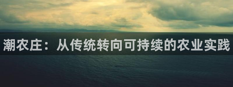 天辰娱乐游戏平台怎么样