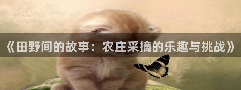 天富天辰娱乐