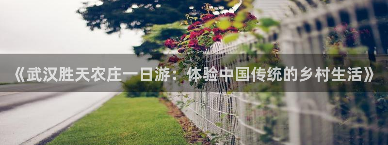 天辰娱乐小姐