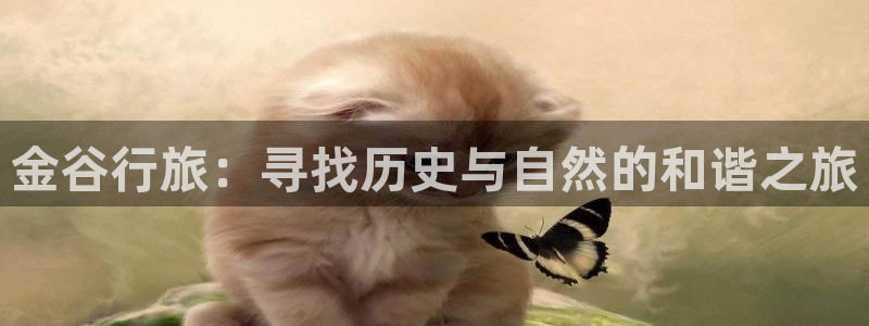 天辰娱乐老板