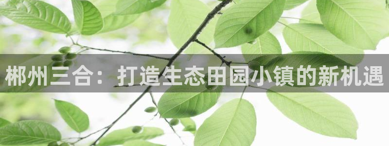 天辰娱乐软件