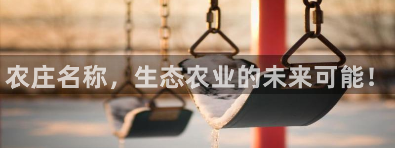 天辰娱乐总管年薪