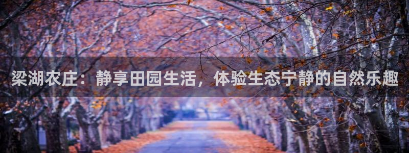 天辰娱乐小妹