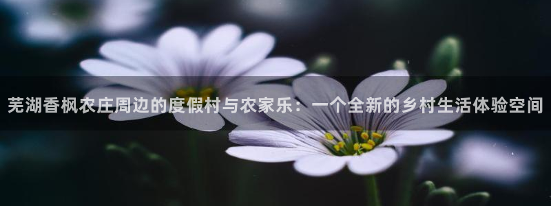 天辰娱乐7天22650