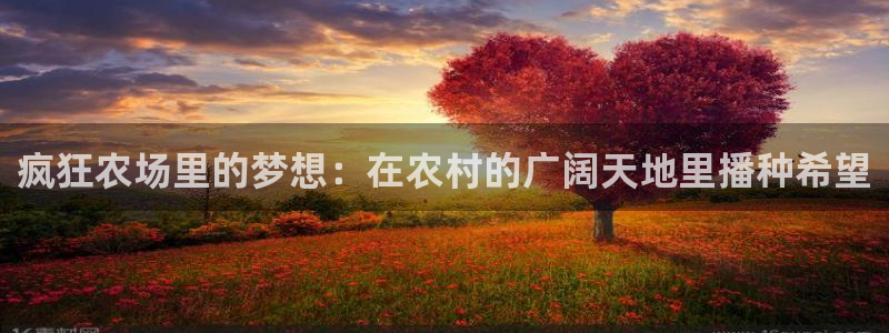 天辰娱乐网
