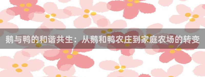 天辰娱乐在哪