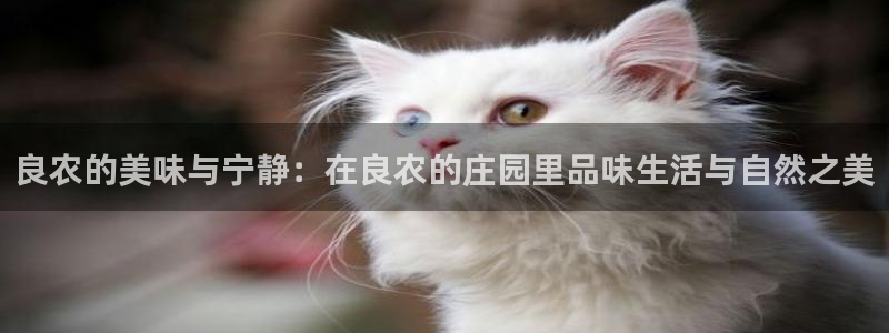 天辰娱乐总管