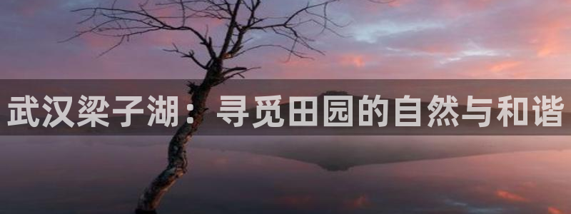 天辰娱乐股东