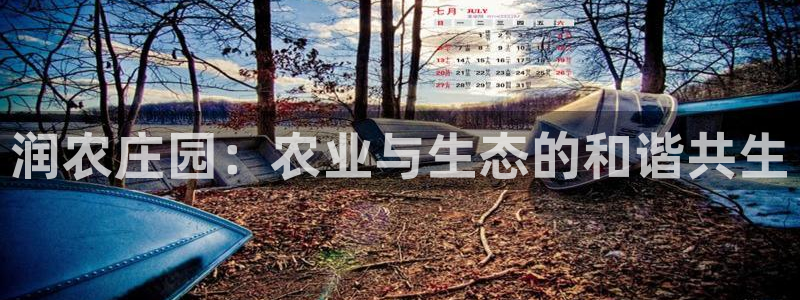 天辰娱乐赌博