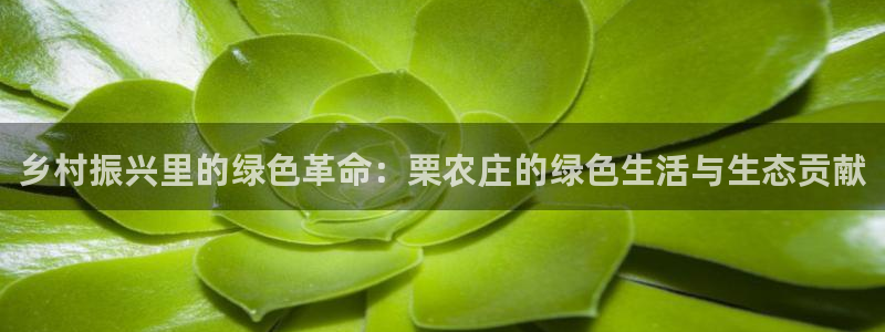 天辰2娱乐