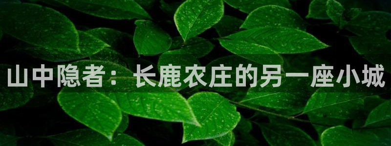 娱乐ktv天辰