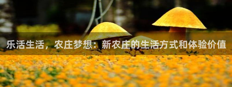 天辰娱乐官网平台入口