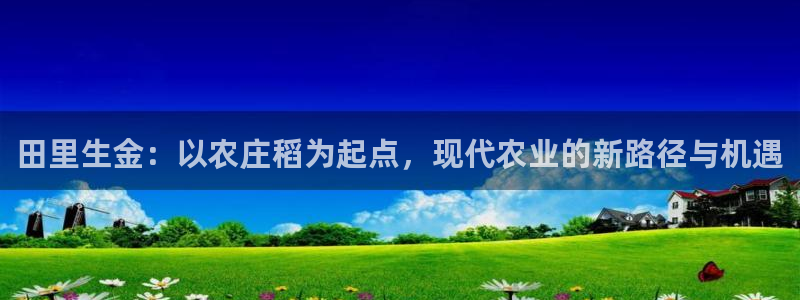 天辰团队贝高娱乐