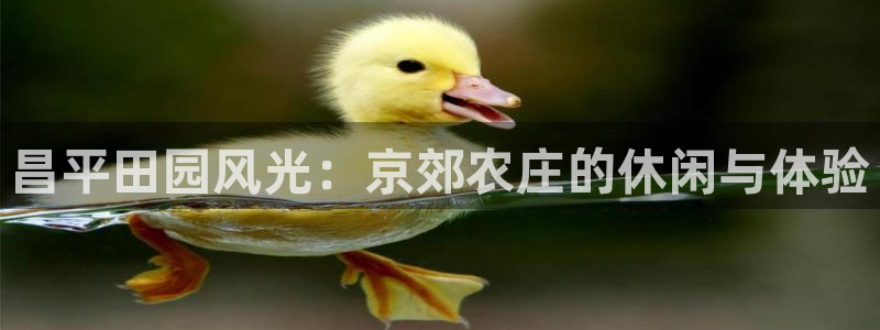 天辰娱乐 天辰平台