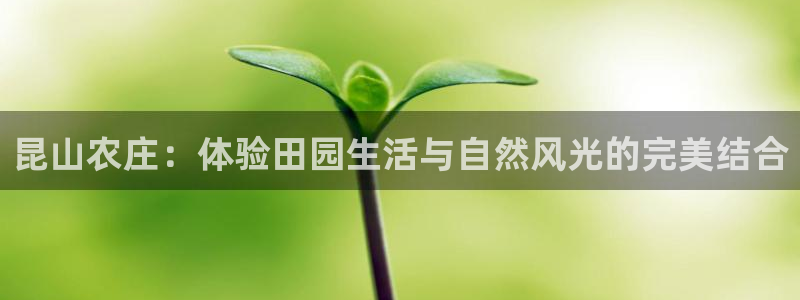 天辰娱乐481928