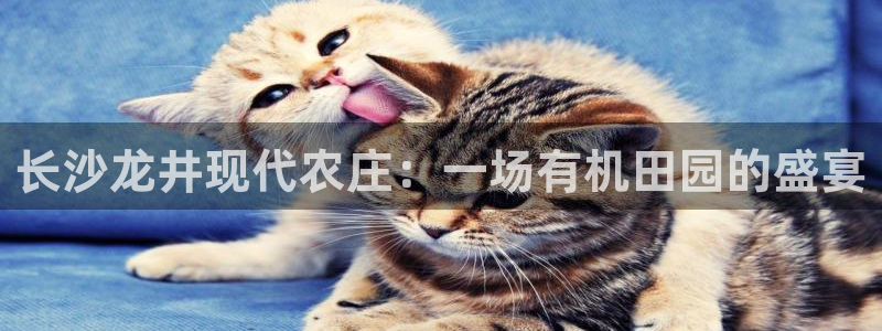 天辰娱乐39974神