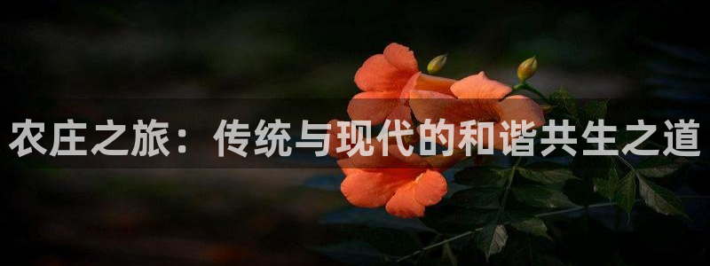 北京天辰娱乐