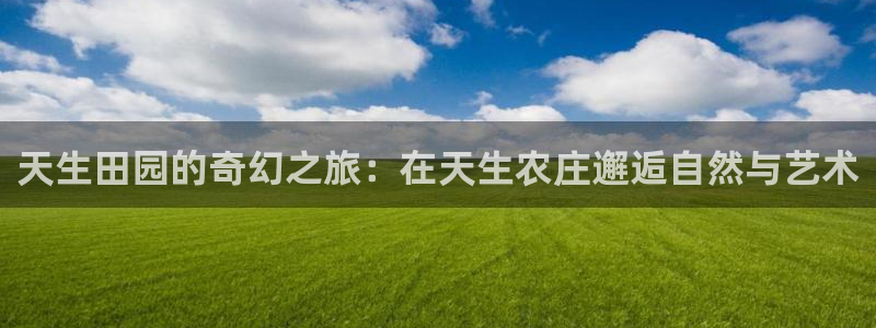天辰娱乐首选