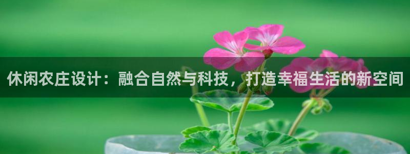 天辰娱乐总管