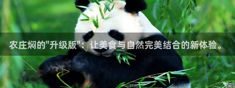 哈尔滨天辰娱乐