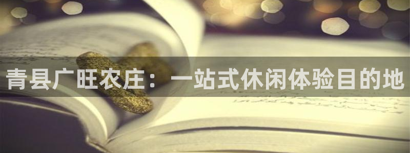 天辰娱乐输了