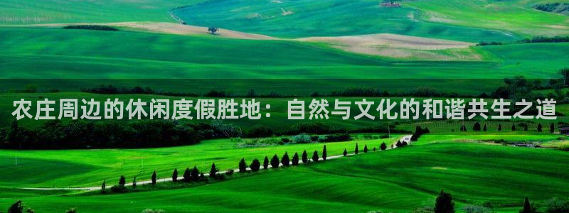 天辰娱乐1956