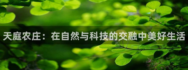 天辰娱乐会所