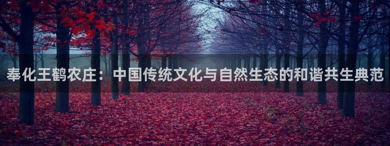 天辰娱乐的网址首页