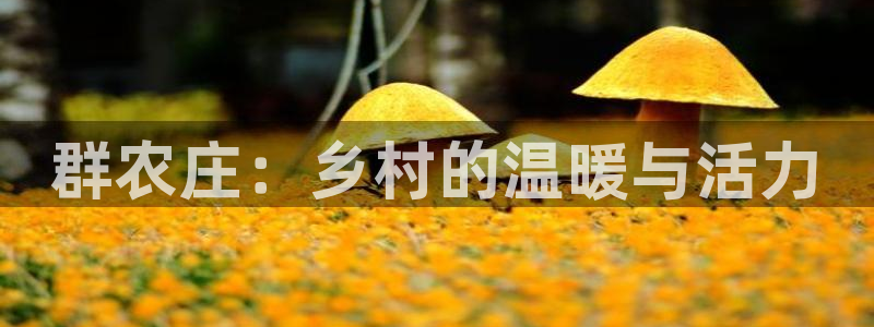 天辰娱乐跑的快