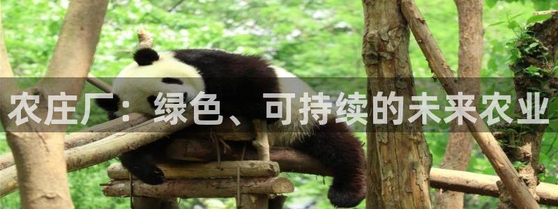 天辰娱乐登录网址