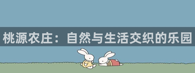 天辰娱乐51137