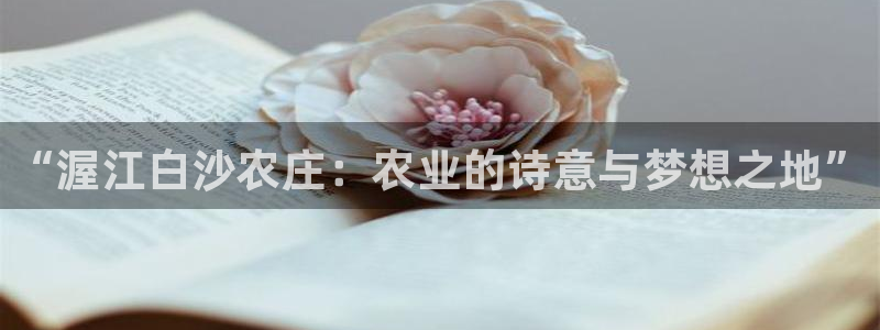 天辰国际娱乐