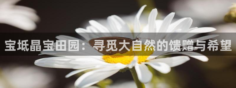 天辰娱乐文化