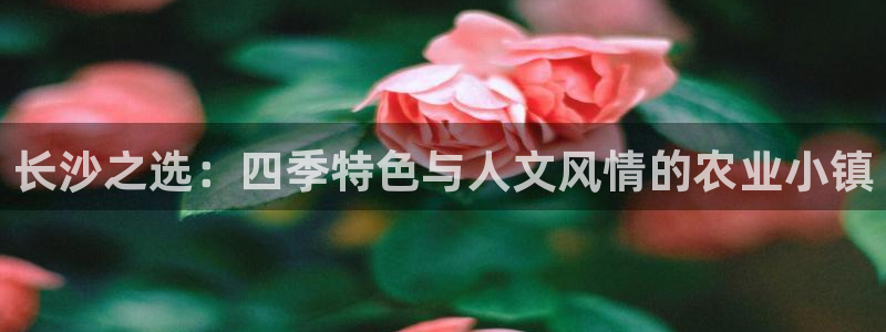 天辰娱乐解封