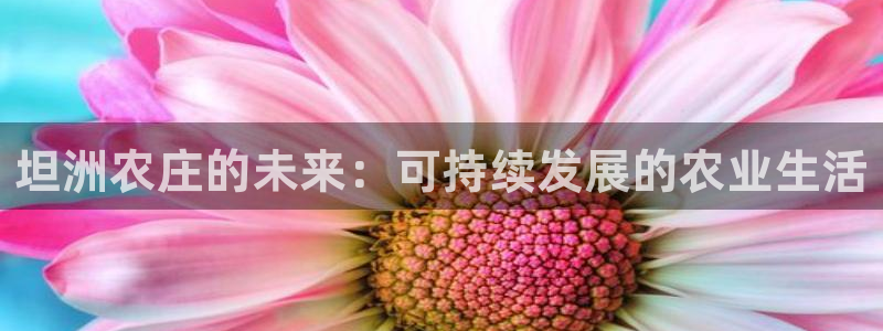 天辰娱乐 天辰平台
