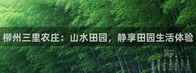 天辰娱乐2