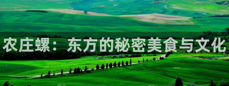 nba天辰娱乐
