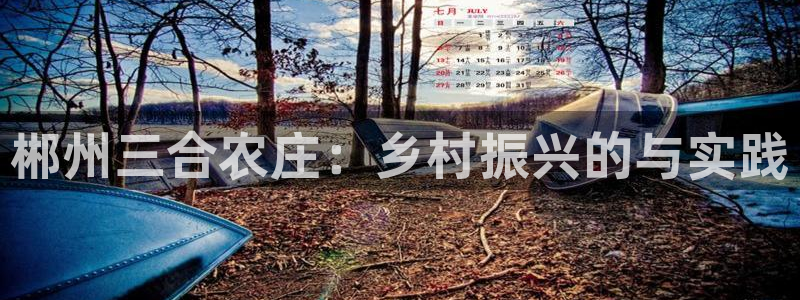 天辰娱乐挂机