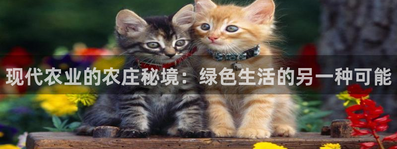 天辰水娱乐